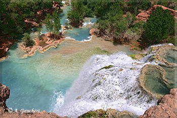 Havasu Fall und Badepools